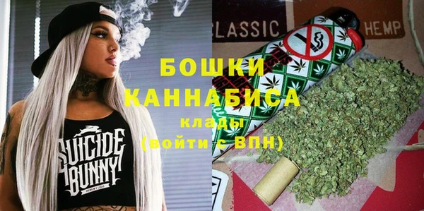 PSILOCYBIN Аркадак