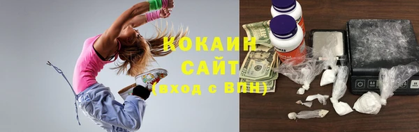 шишки Ельня