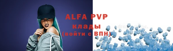 PSILOCYBIN Аркадак