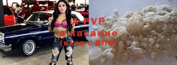 шишки Ельня
