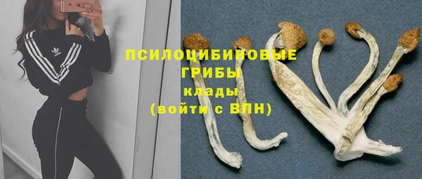 ГАЛЛЮЦИНОГЕННЫЕ ГРИБЫ Арсеньев