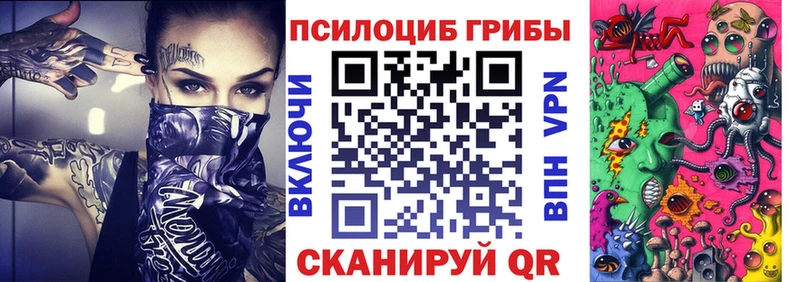 Псилоцибиновые грибы Cubensis  mega ссылки  Сергач 